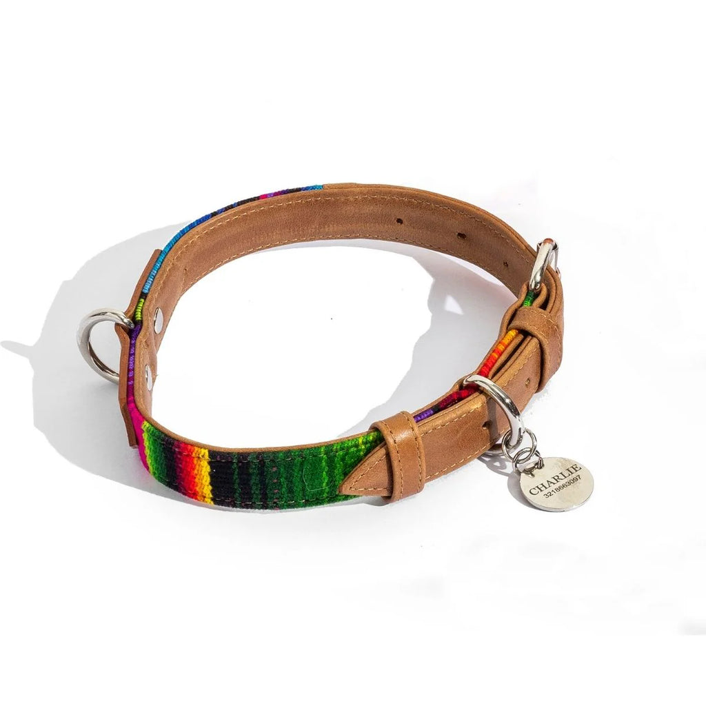 Dog Collar Artisan