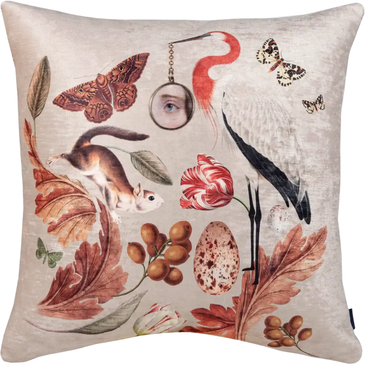 Pillow Aurora Squirrel