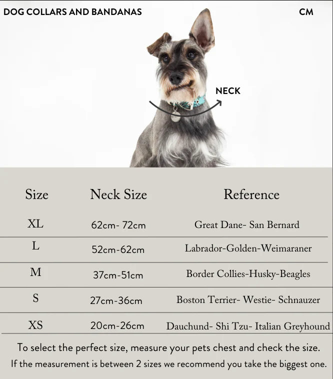 Dog Collar Pink Snake