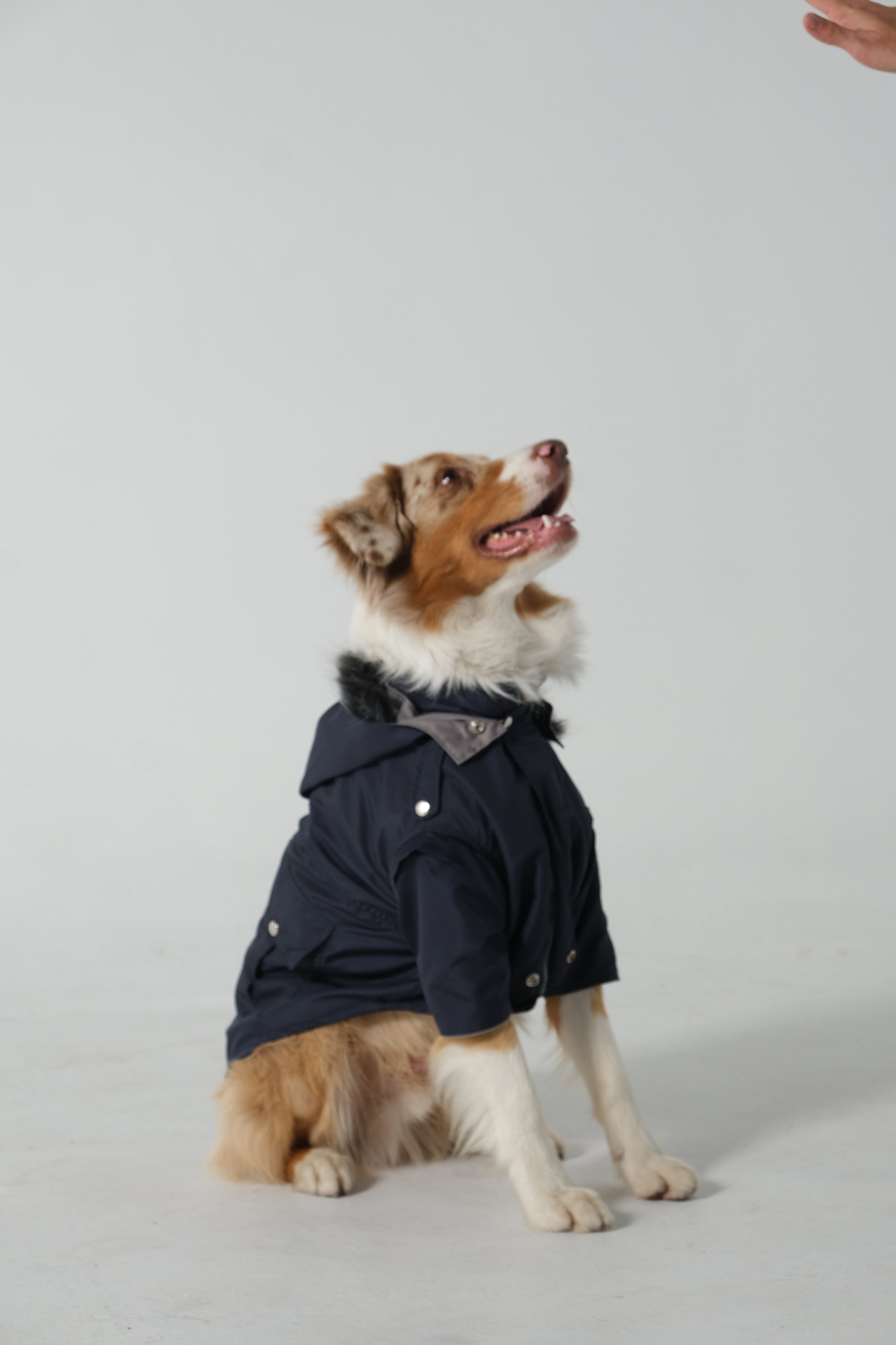 Raincoat Basic