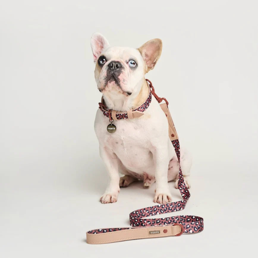 Leash Red Leopard