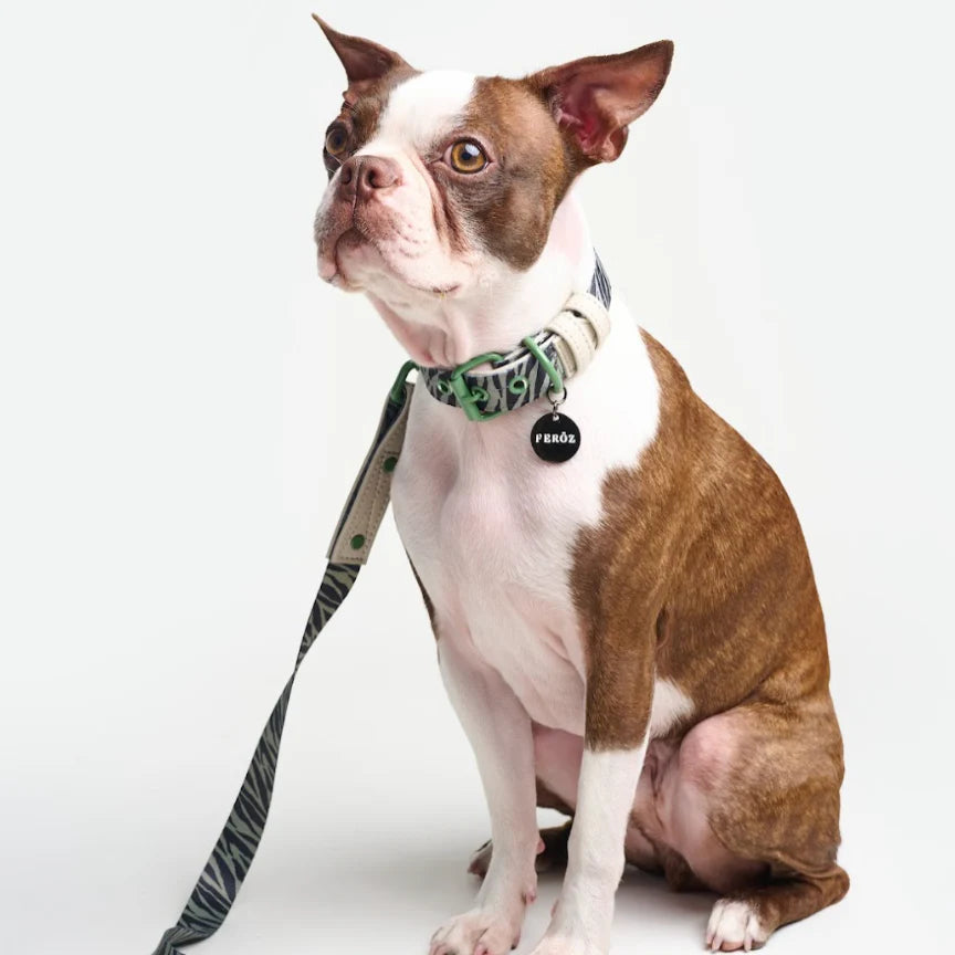 Leash Green Zebra