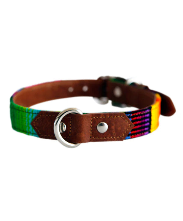 Dog Collar Artisan