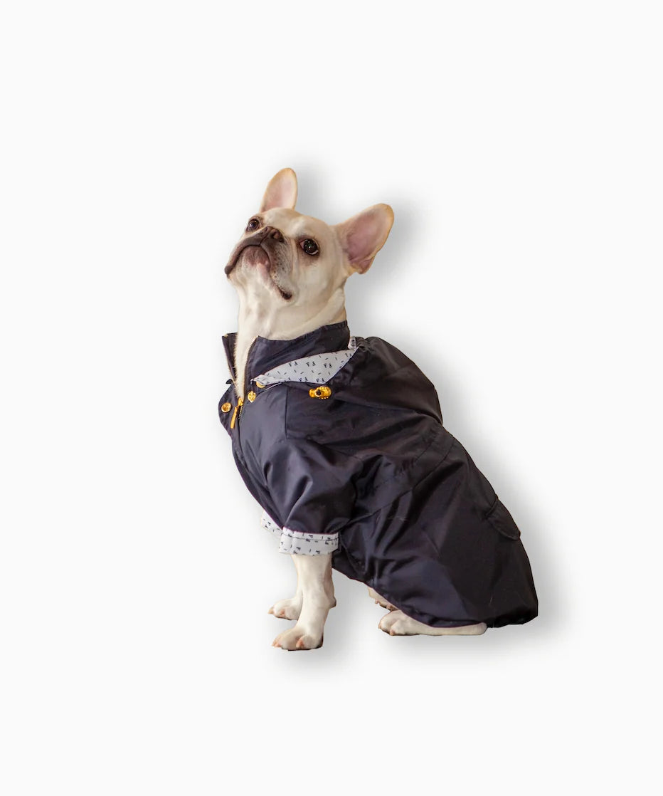 Raincoat Basic