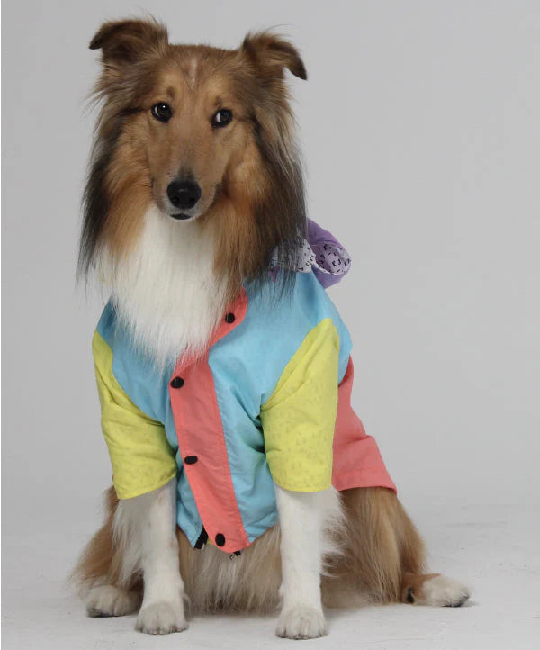 Raincoat Multicolor